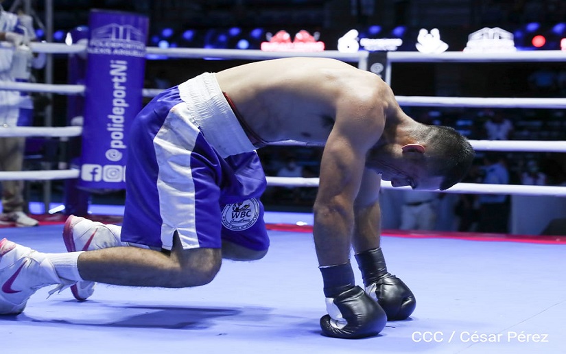 BOXEO1